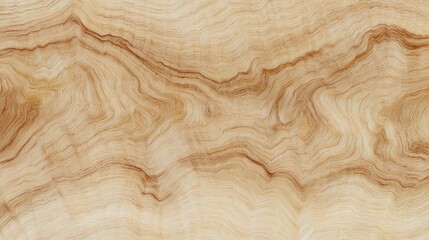 Free natural burl wood grain texture