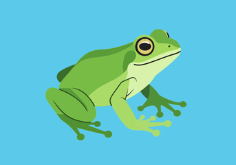 Obraz premium Vibrant Green Frog Sitting Peacefully, Depicting Amphibian Wildlife on a Solid Light Blue Background
