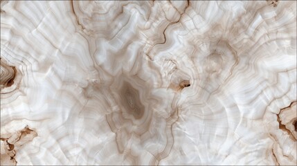 Free natural burl wood grain texture