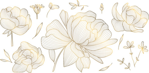 Elegant floral vector floral emblems, line ornaments, organic leaf patterns, Japanese design. Spa logos, cosmetic labels, wedding monograms, modern luxury nature templates. © marylia17