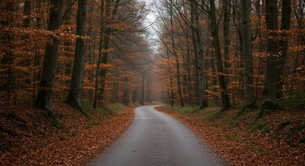 Obraz premium Autumn Road Serene path winding through gold leaf forest landscape.