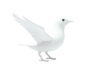 Glossy white bird in flight, one wing spread, against a stark black background