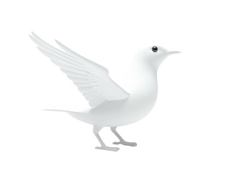 Glossy white bird in flight, one wing spread, against a stark black background