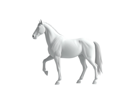White elegant horse posed on a black background, walking leftward