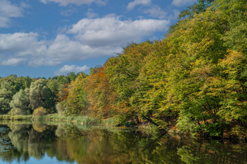 Trees and reeds are reflected in the calm waters of the lake. The weather is perfect for walking and hiking.