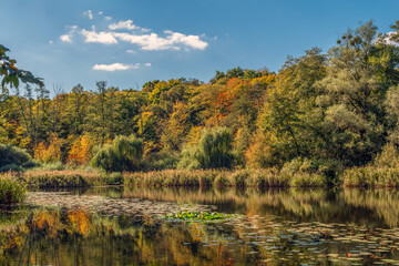 Trees and reeds are reflected in the calm waters of the lake. The weather is perfect for walking and hiking.