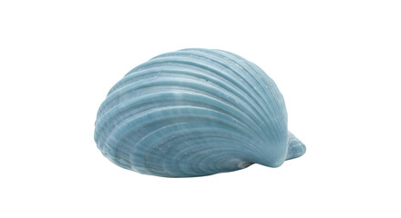Fototapeta premium Blue seashell shows smooth texture and shell surface. Suitable for coastal product staging and branding.