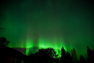 aurora over the forest