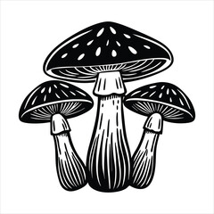 Hand drawn sketch style mushrooms traced into 
