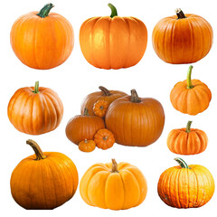 set of halloween pumpkins