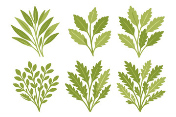 Collection of diverse green botanical leaf elements and fresh herb sprigs
