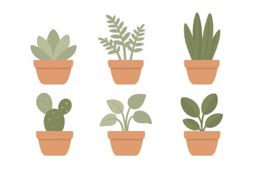 Collection of various green potted houseplants and succulents in terracotta pots