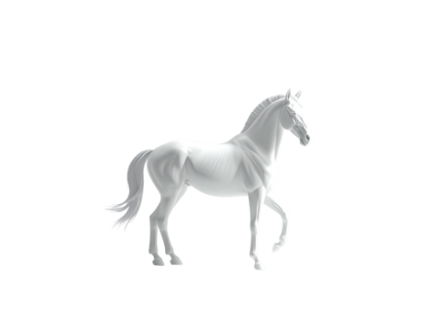 A pristine white horse in a graceful pose, isolated on a stark black background