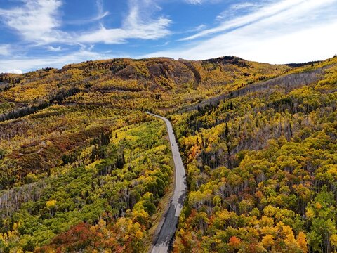 Aerial view of a road winding through a vibrant tapestry of autumn colors, where golden and green trees meet the rugged mountain landscape, Vail, Colorado, United States.