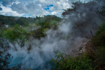 Steam rises through dense native forest in Rotorua, New Zealand, where geothermal pools and hot springs create a surreal, mist-filled landscape under dramatic skies