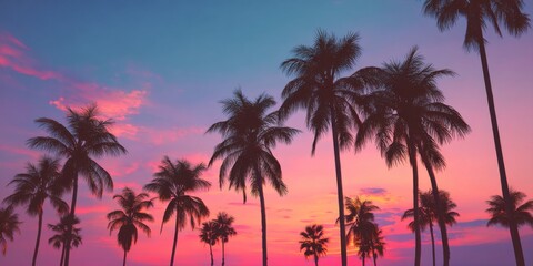 Majestic Palm Trees Silhouetted Against a Vibrant Sunset Sky with Shades of Pink, Purple, and Blue for Tropical Vibes and Relaxing Atmosphere