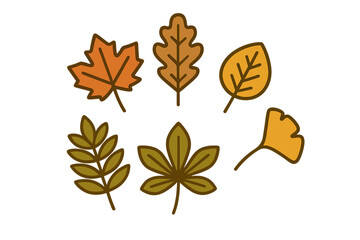 Collection of various autumn leaves in warm fall colors with simple outlines
