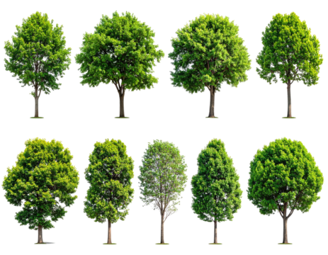 Various stylized trees with lush green canopies and brown trunks on a transparent background