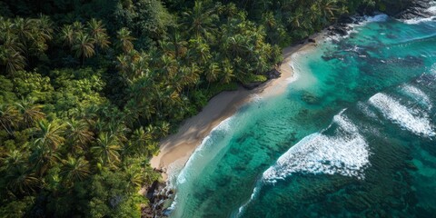 Aerial View of Serene Tropical Beach Surrounded by Lush Green Forest and Palm Trees with Gentle Waves Caressing the Shoreline