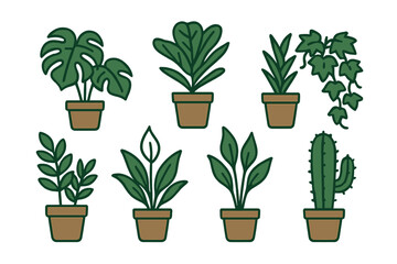 Assortment of various potted houseplants and indoor greenery for home and office decor