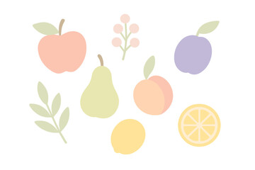 Assortment of fresh healthy fruits and botanical elements on a white background