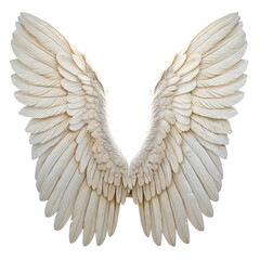 Obraz premium Set angel wings realistic isolated on transparent background 