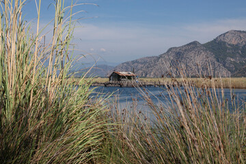 Rustic Fishing Hut on Lake Viewed Through Reeds in Dalyan, Turkey