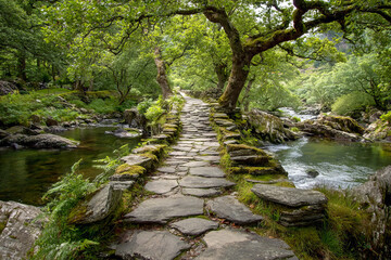 Ancient stone bridge crossing rocky river gorge with forest