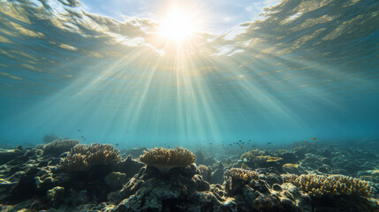 Obraz premium Serene underwater scene showcasing vibrant coral reef illuminated by sunlight filtering through water surface. rays create magical atmosphere, highlighting diverse marine life and coral formations