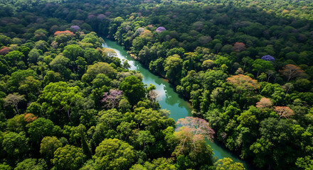 Tropical Rainforest Aerial Canopy Shot with Dense Green Foliage and Jungle Layers