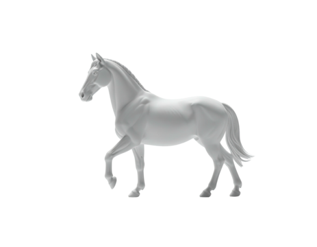 Elegant, white horse in a classic pose against a stark, black background