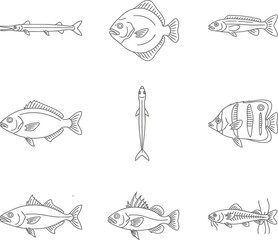 Diverse Commercial and Game Fish Line Art Icon Set - Vector Collection