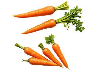 Fresh Organic Carrots with Green Tops on a Transparent Background