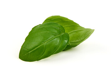 Basil Ocimum basilicum Leaves, isolated on white background