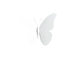 Obraz premium A digitally rendered, symmetrical butterfly in solid white against a black background