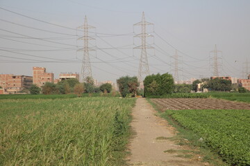 Power Lines in a field