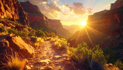Canyon path at sunset, sun flares
