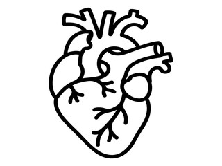 Anatomical Heart Adorned with Floral Elements – Black Background Illustration