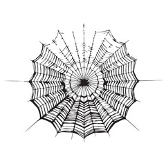 Obraz premium Detailed Hand-Drawn Spider Web Illustration on White Background