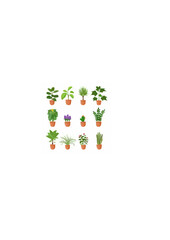 Set twelve houseplant with flowers in a pot Vector.ai