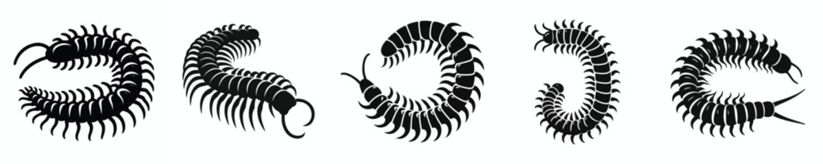 black and white silhouette vector of a centipede
