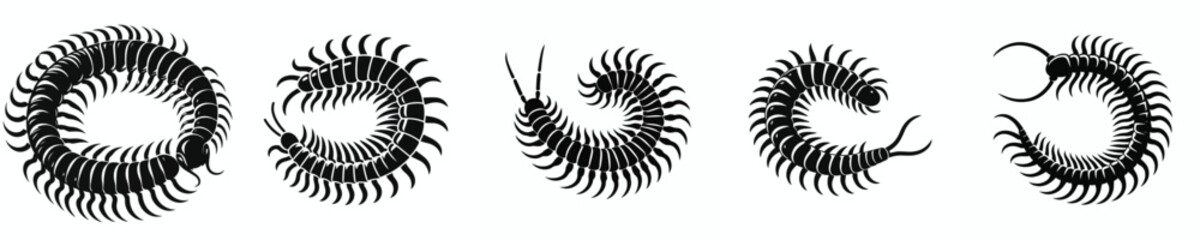 black and white silhouette vector of a centipede