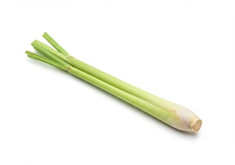 A single stalk of fresh lemongrass with its pale bulb and green stem, isolated on a white background