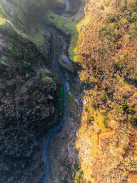 Aerial view of a sinuous road threading through a valley, flanked by contrasting textures of verdant green and golden foliage, Cheddar, England, United Kingdom.