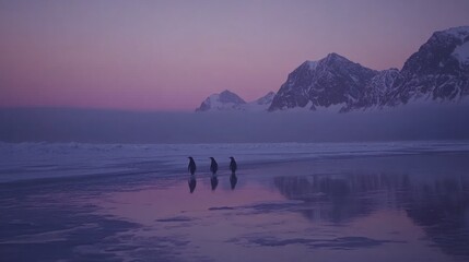 Three penguins on a frozen landscape at dawn, reflections in still water, misty mountains in the distance