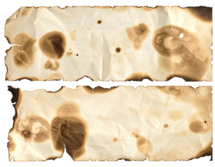 Torn paper with scorch marks and stains; textures of age and decay