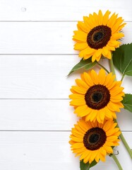 Three sunflowers on white wood