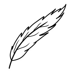feather and ink