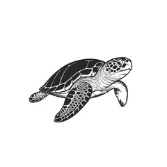 Obraz premium Black and White Sea Turtle Illustration 1.