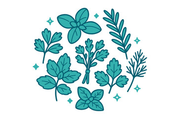 Illustration of various herbs in a circular arrangement